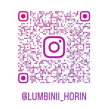 https://www.instagram.com/lumbinii_hori/